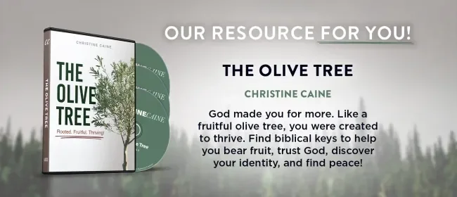 The 5 Love Languages Bundle (4 Vols.) - Olive Tree Bible Software