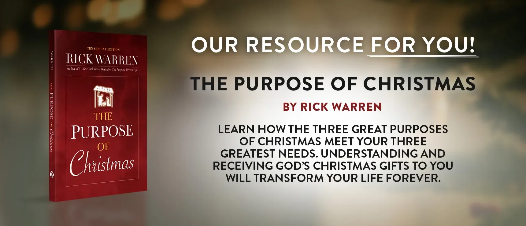 Purpose of Christmas by Rick Warren